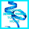 Adding Jewel Tones to Your Home!