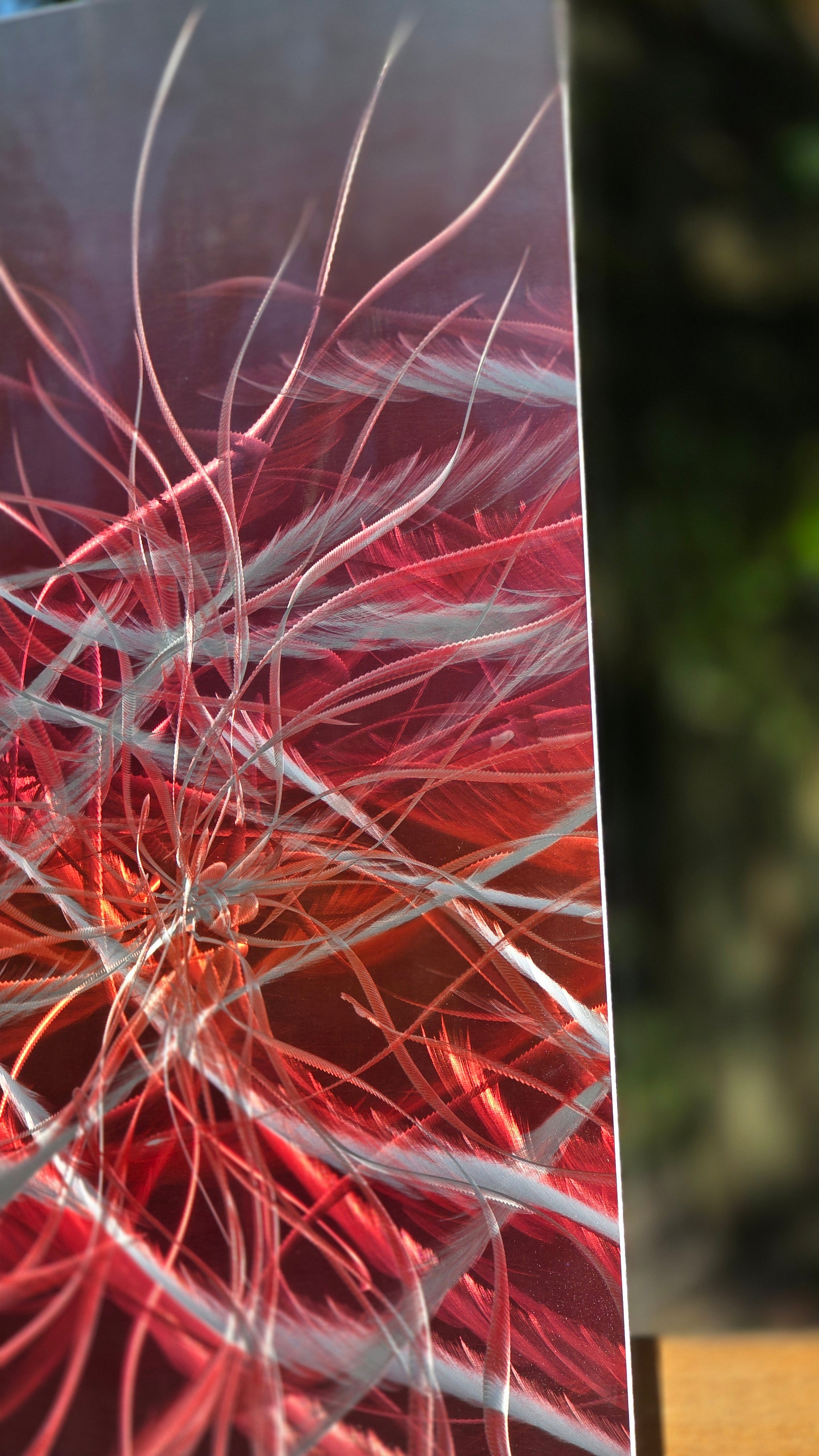 Scarlet Awakening - Metal Wall Art 12"x12"