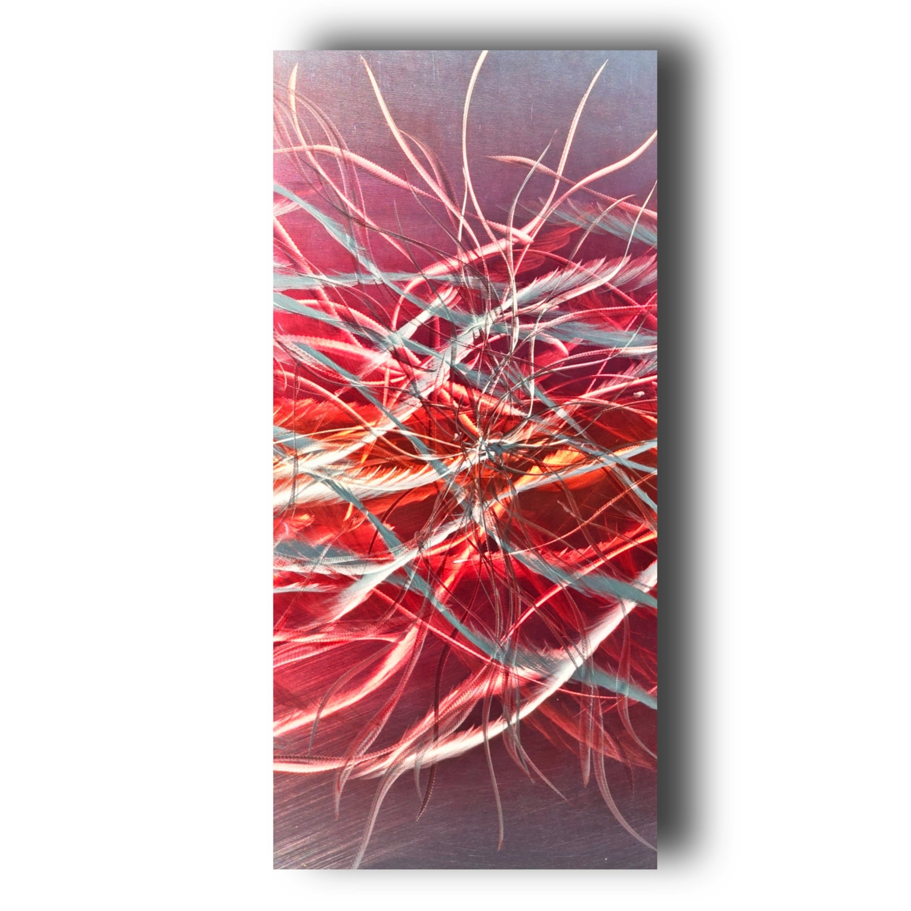 Scarlet Awakening - Metal Wall Art 12"x12"